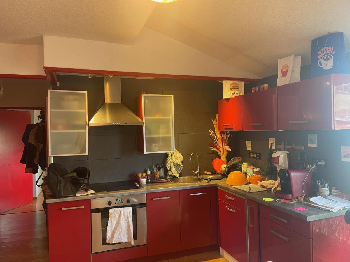 Appartement Au Centre Ville De Toulouse Buitenkant foto